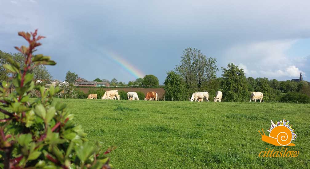 Natuurvallei en Hoeve Schaffersberg