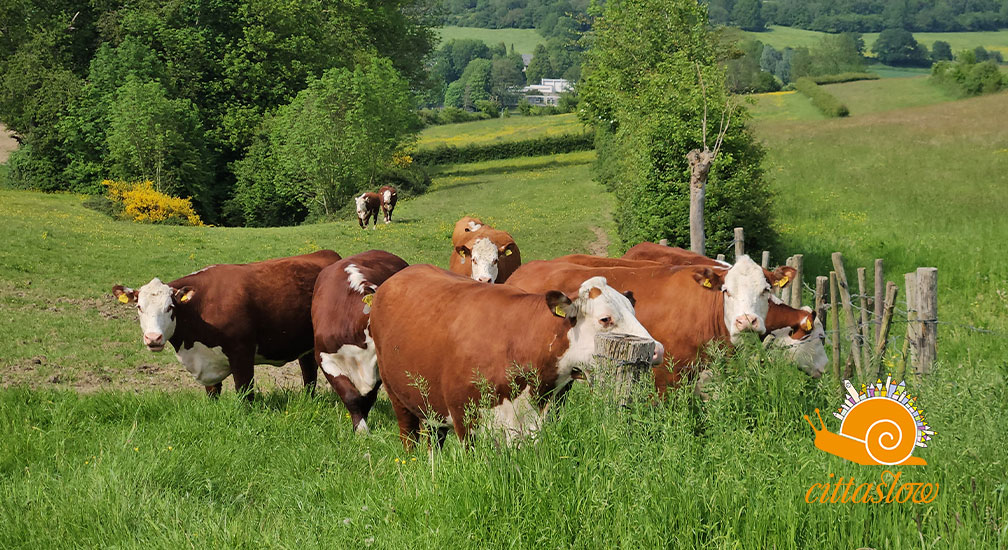 Hoeve Schaffersberg Proef de smaak van de Natuurvallei