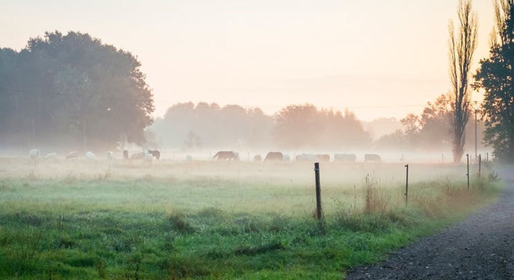 Beweegochtend Sociaal Centrum Eijsden